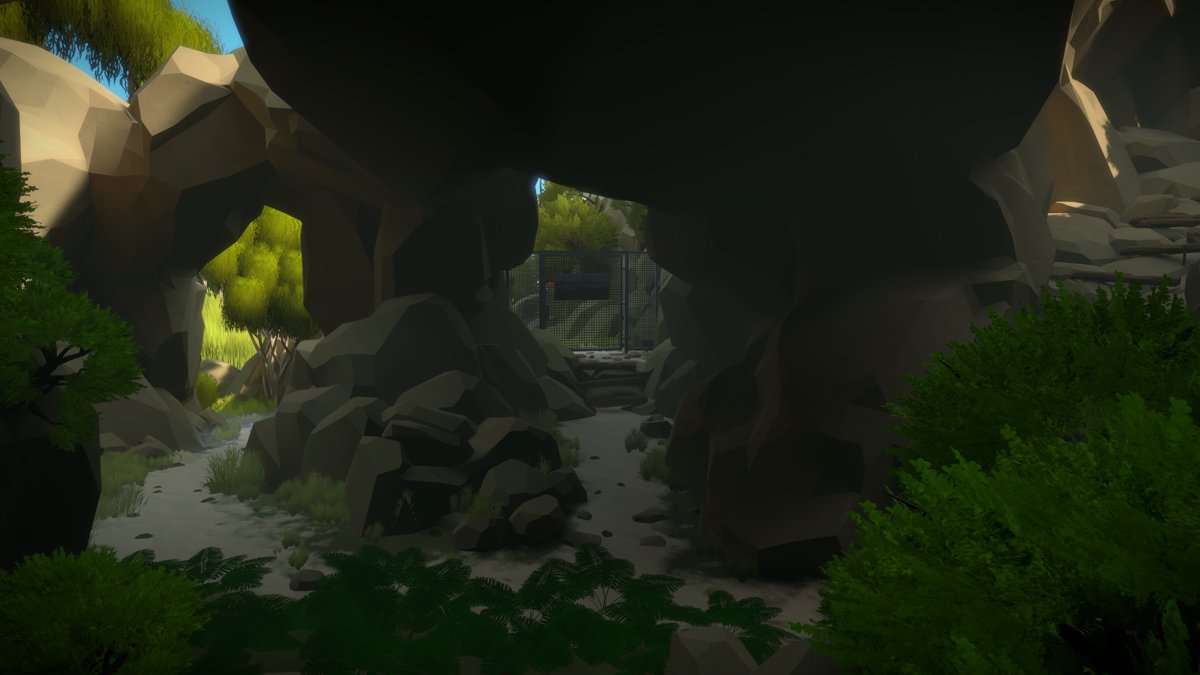 The Witness Cave