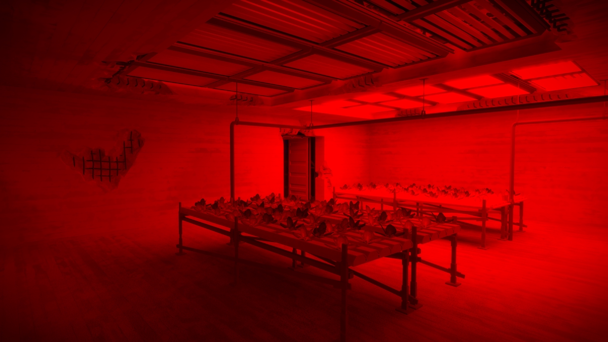 The Witness Interior