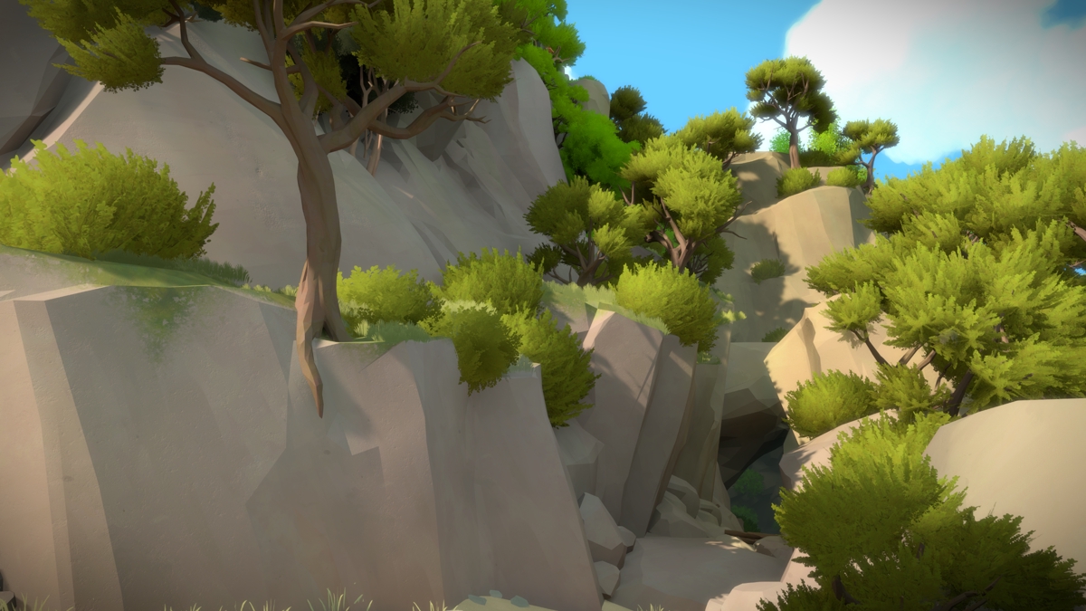 The Witness Paths