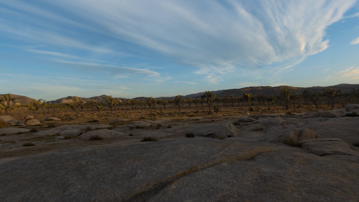 Joshua Tree Environment